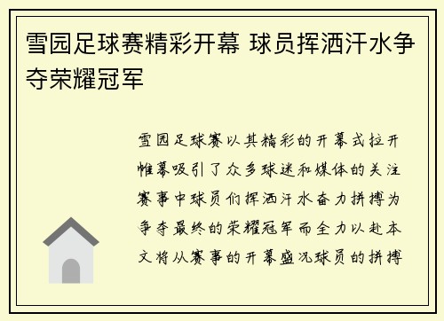 雪园足球赛精彩开幕 球员挥洒汗水争夺荣耀冠军