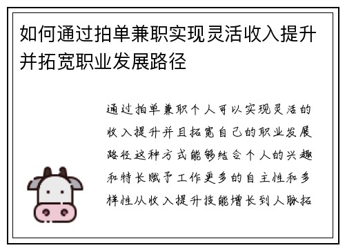 如何通过拍单兼职实现灵活收入提升并拓宽职业发展路径