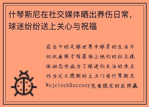 什琴斯尼在社交媒体晒出养伤日常，球迷纷纷送上关心与祝福