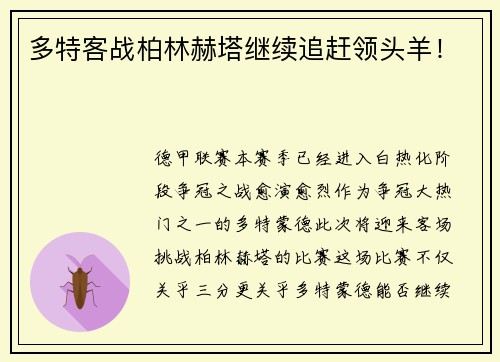 多特客战柏林赫塔继续追赶领头羊！