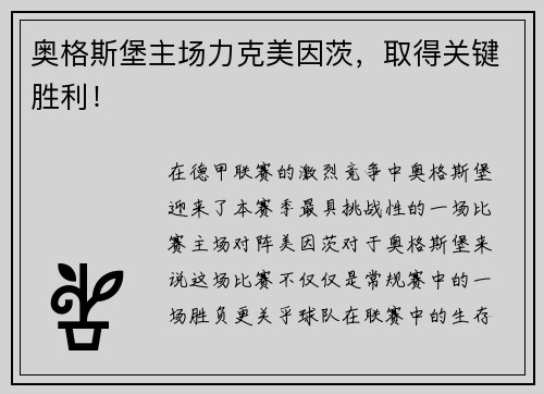 奥格斯堡主场力克美因茨，取得关键胜利！